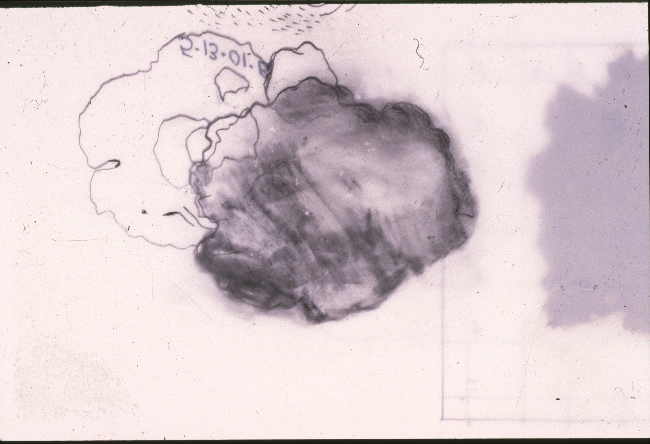 Mapping of Memories Series No. 2, graphite on Mylar, 9 x 12 inches, 2001